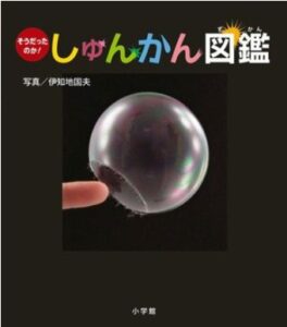 しゅんかん図鑑